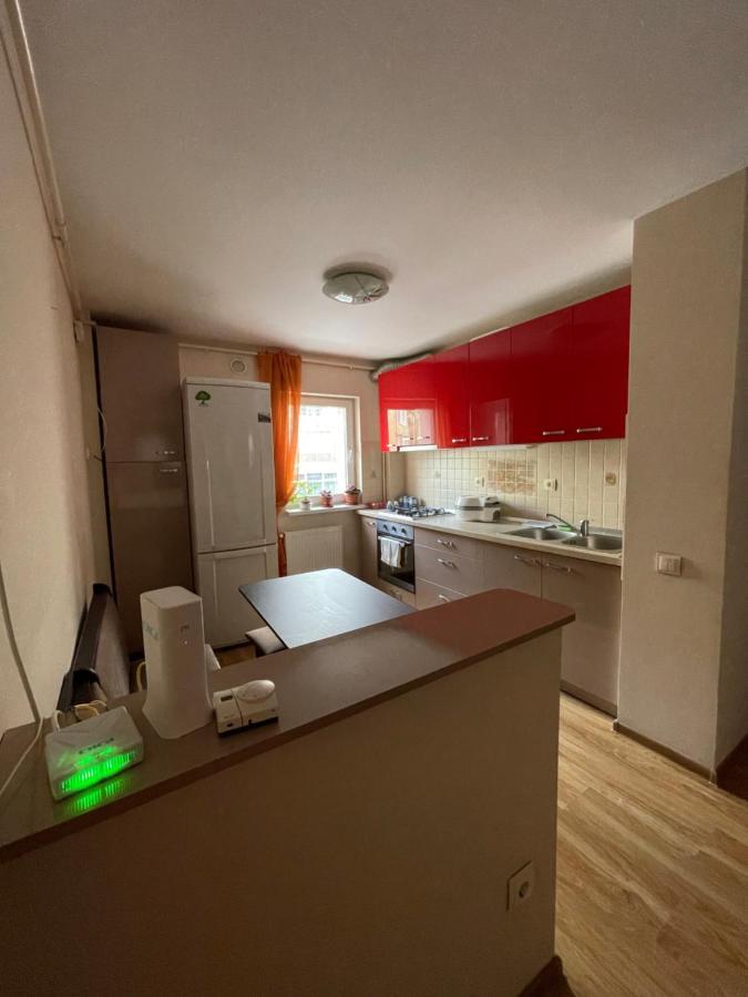 Appartamento Cerna Apartament Braşov Esterno foto