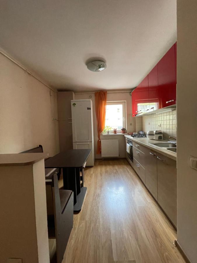 Appartamento Cerna Apartament Braşov Esterno foto