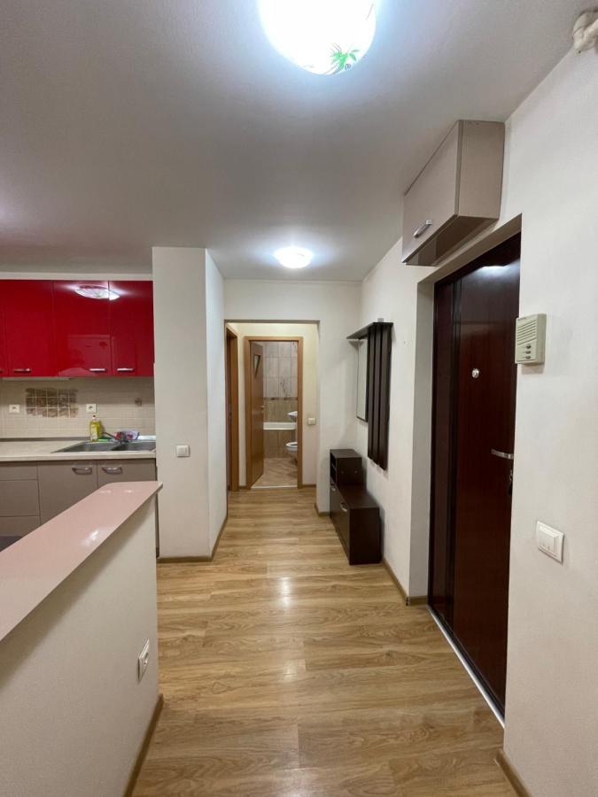 Appartamento Cerna Apartament Braşov Esterno foto